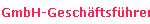 GmbH-Gesch�ftsf�hrer